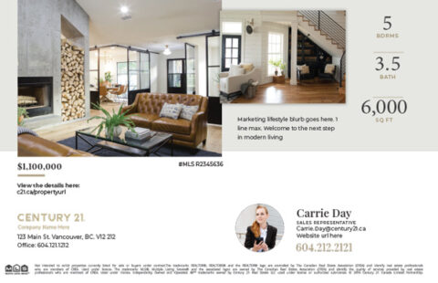 Back side of the direct mail design template for 
